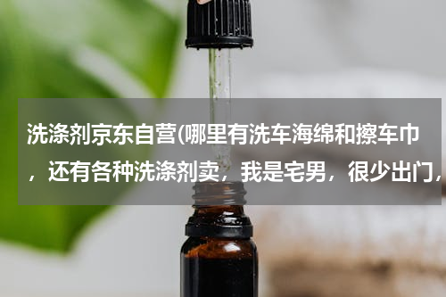 洗涤剂京东自营(哪里有洗车海绵和擦车巾，还有各种洗涤剂卖，我是宅男，很少出门，说下哪个商城，你买过的商城。)