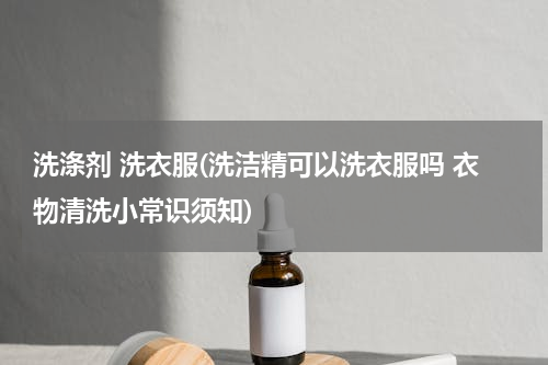 洗涤剂 洗衣服(洗洁精可以洗衣服吗 衣物清洗小常识须知)