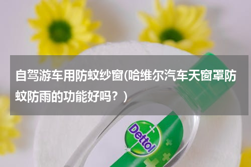 自驾游车用防蚊纱窗(哈维尔汽车天窗罩防蚊防雨的功能好吗？)