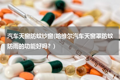 汽车天窗防蚊纱窗(哈维尔汽车天窗罩防蚊防雨的功能好吗？)