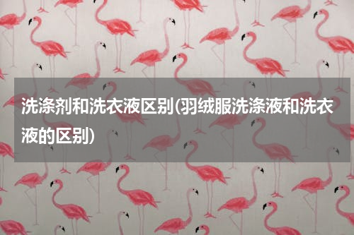 洗涤剂和洗衣液区别(羽绒服洗涤液和洗衣液的区别)