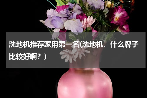洗地机推荐家用第一名(洗地机，什么牌子比较好啊？)