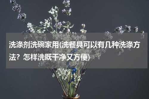 洗涤剂洗碗家用(洗餐具可以有几种洗涤方法？怎样洗既干净又方便)