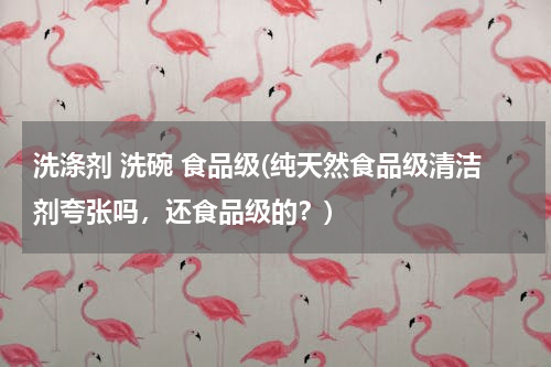 洗涤剂 洗碗 食品级(纯天然食品级清洁剂夸张吗，还食品级的？)
