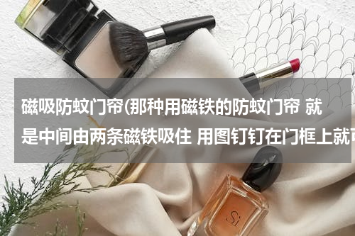 磁吸防蚊门帘(那种用磁铁的防蚊门帘 就是中间由两条磁铁吸住 用图钉钉在门框上就可以的)