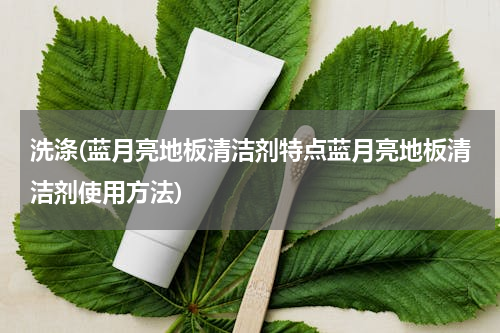 洗涤(蓝月亮地板清洁剂特点蓝月亮地板清洁剂使用方法)