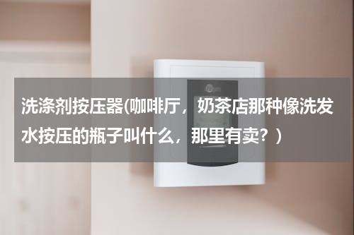 洗涤剂按压器(咖啡厅，奶茶店那种像洗发水按压的瓶子叫什么，那里有卖？)