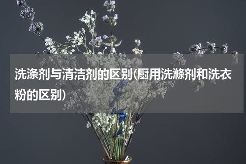 洗涤剂与清洁剂的区别(厨用洗滌剂和洗衣粉的区别)