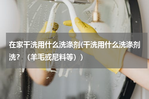 在家干洗用什么洗涤剂(干洗用什么洗涤剂洗？（羊毛或尼料等）)