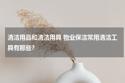 清洁用品和清洁用具 物业保洁常用清洁工具有那些？