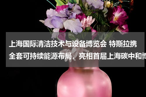 上海国际清洁技术与设备博览会 特斯拉携全套可持续能源布局，亮相首届上海碳中和博览会