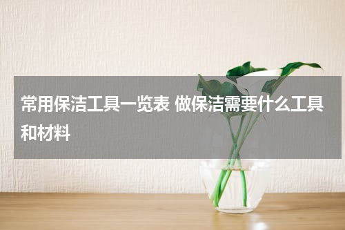 常用保洁工具一览表 做保洁需要什么工具和材料