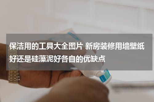 保洁用的工具大全图片 新房装修用墙壁纸好还是硅藻泥好各自的优缺点