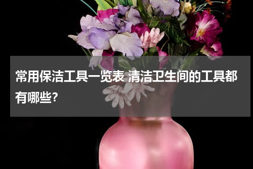 常用保洁工具一览表 清洁卫生间的工具都有哪些？