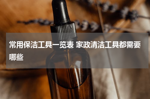 常用保洁工具一览表 家政清洁工具都需要哪些