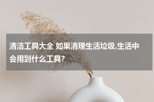 清洁工具大全 如果清理生活垃圾,生活中会用到什么工具？