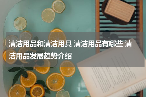 清洁用品和清洁用具 清洁用品有哪些 清洁用品发展趋势介绍