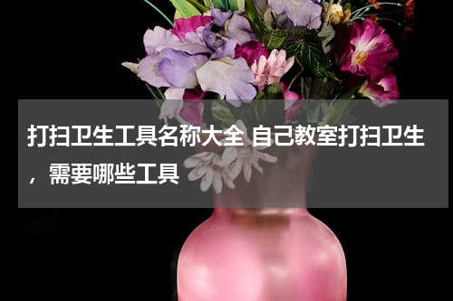 打扫卫生工具名称大全 自己教室打扫卫生，需要哪些工具