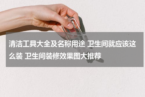 清洁工具大全及名称用途 卫生间就应该这么装 卫生间装修效果图大推荐