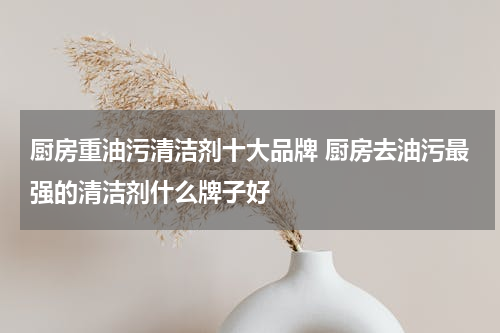 厨房重油污清洁剂十大品牌 厨房去油污最强的清洁剂什么牌子好