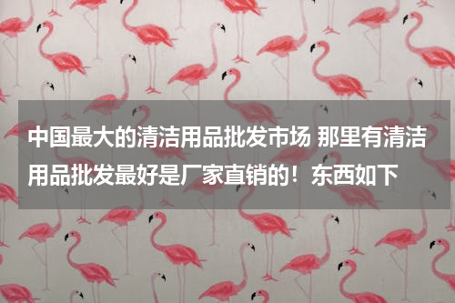 中国最大的清洁用品批发市场 那里有清洁用品批发最好是厂家直销的！东西如下