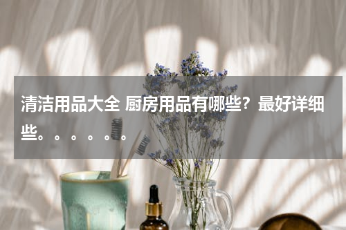 清洁用品大全 厨房用品有哪些？最好详细些。。。。。。