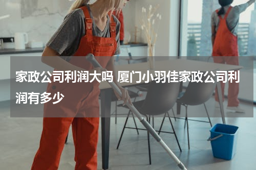 家政公司利润大吗 厦门小羽佳家政公司利润有多少