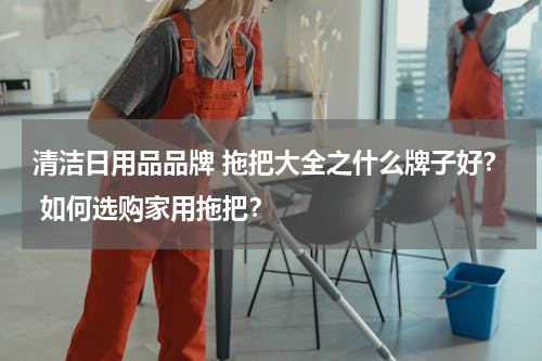 清洁日用品品牌 拖把大全之什么牌子好？ 如何选购家用拖把？