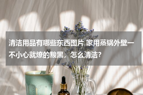清洁用品有哪些东西图片 家用蒸锅外壁一不小心就燎的黢黑，怎么清洁？