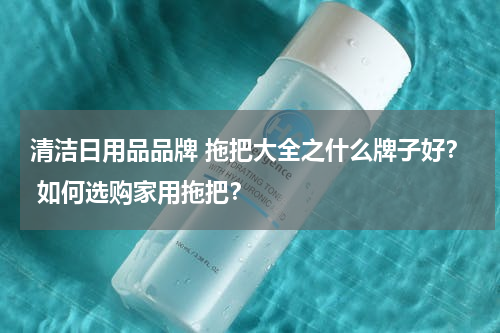 清洁日用品品牌 拖把大全之什么牌子好？ 如何选购家用拖把？