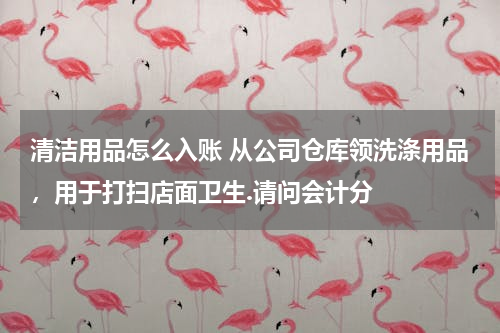 清洁用品怎么入账 从公司仓库领洗涤用品，用于打扫店面卫生.请问会计分
