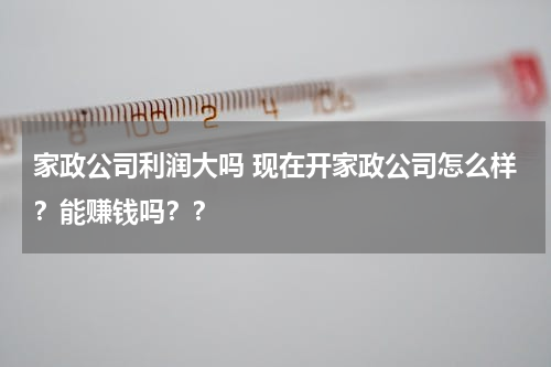 家政公司利润大吗 现在开家政公司怎么样？能赚钱吗？？