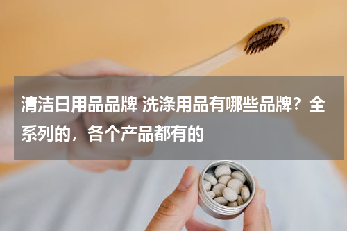 清洁日用品品牌 洗涤用品有哪些品牌？全系列的，各个产品都有的