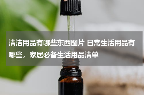 清洁用品有哪些东西图片 日常生活用品有哪些，家居必备生活用品清单