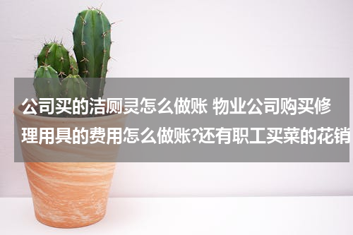 公司买的洁厕灵怎么做账 物业公司购买修理用具的费用怎么做账?还有职工买菜的花销，工作服装费？