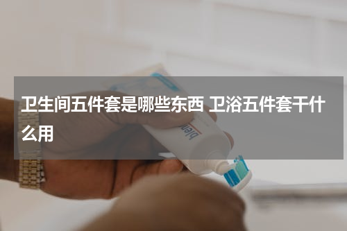 卫生间五件套是哪些东西 卫浴五件套干什么用
