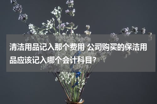 清洁用品记入那个费用 公司购买的保洁用品应该记入哪个会计科目？