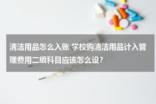 清洁用品怎么入账 学校购清洁用品计入管理费用二级科目应该怎么设？