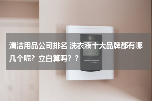 清洁用品公司排名 洗衣液十大品牌都有哪几个呢？立白算吗？？