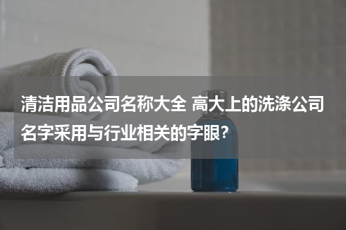 清洁用品公司名称大全 高大上的洗涤公司名字采用与行业相关的字眼？