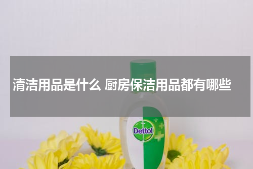 清洁用品是什么 厨房保洁用品都有哪些
