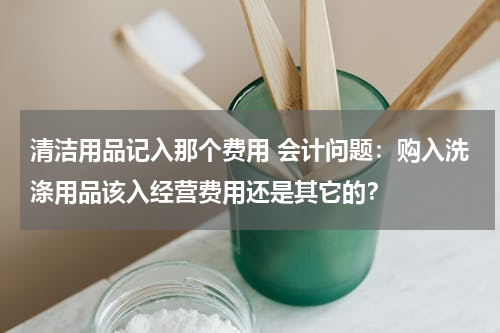 清洁用品记入那个费用 会计问题：购入洗涤用品该入经营费用还是其它的？