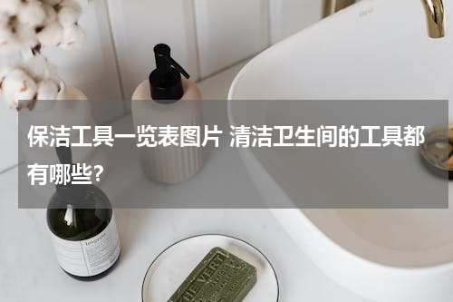 保洁工具一览表图片 清洁卫生间的工具都有哪些？