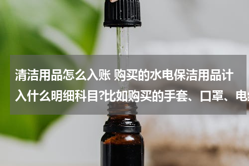 清洁用品怎么入账 购买的水电保洁用品计入什么明细科目?比如购买的手套、口罩、电线、等头等。