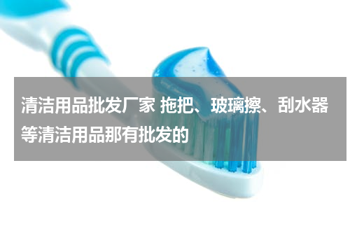 清洁用品批发厂家 拖把、玻璃擦、刮水器等清洁用品那有批发的