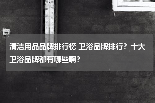 清洁用品品牌排行榜 卫浴品牌排行？十大卫浴品牌都有哪些啊？