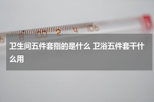 卫生间五件套指的是什么 卫浴五件套干什么用