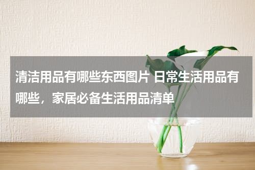 清洁用品有哪些东西图片 日常生活用品有哪些，家居必备生活用品清单