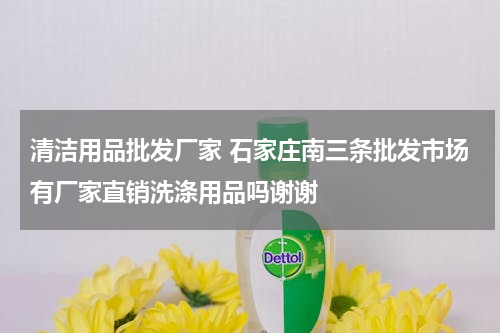 清洁用品批发厂家 石家庄南三条批发市场有厂家直销洗涤用品吗谢谢
