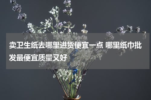 卖卫生纸去哪里进货便宜一点 哪里纸巾批发最便宜质量又好